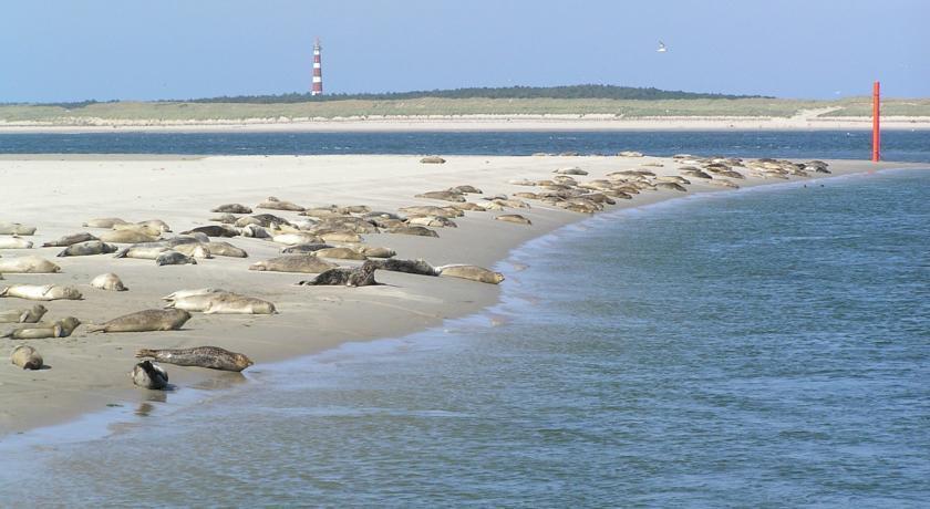 Zeeduin, Met Zonnig Terras - Volledige Keuken- Resort Amelander Kaap, Incl Verwarmd Hotel-Zwembad Nabij Dorp, Duinen En Strand Hollum  Exteriér fotografie