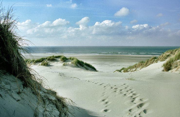 Zeeduin, Met Zonnig Terras - Volledige Keuken- Resort Amelander Kaap, Incl Verwarmd Hotel-Zwembad Nabij Dorp, Duinen En Strand Hollum  Exteriér fotografie